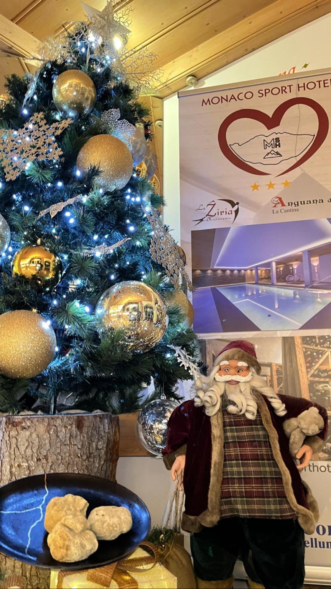 Monaco Sport Hotel Santo Stefano di Cadore Kültér fotó